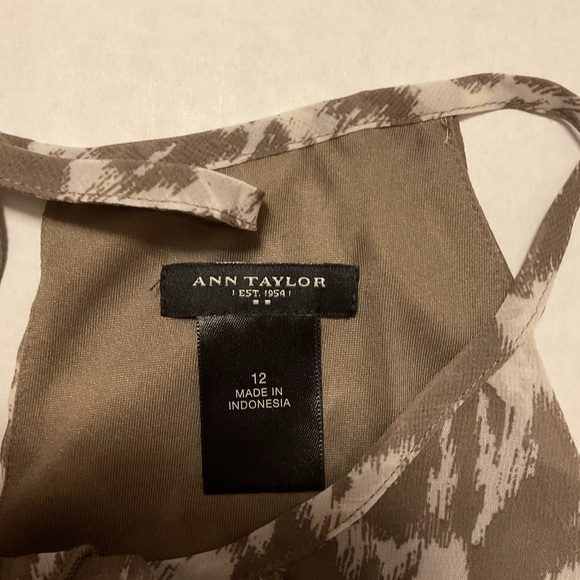 Ann Taylor women’s Ruffle Front Blouse Brown Sleeveless - Picture 8 of 9